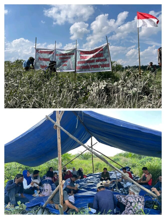
					Petani penggarap Purwodadi menduduki lahan yang di kalim PT.Agrowiyana